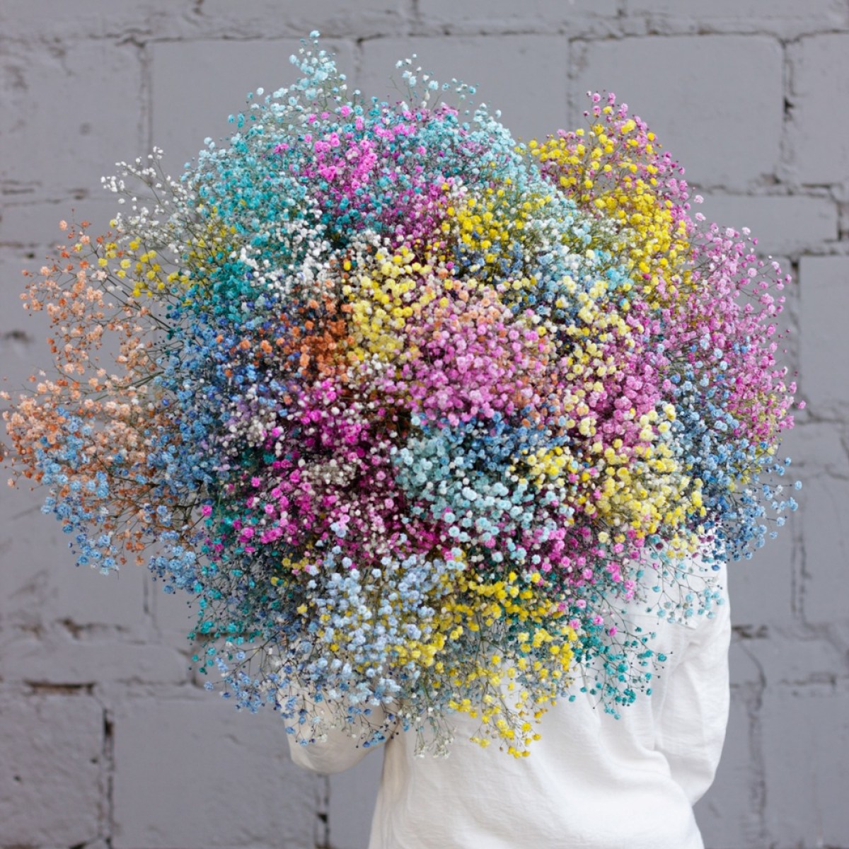 bolshoj buket gipsofily